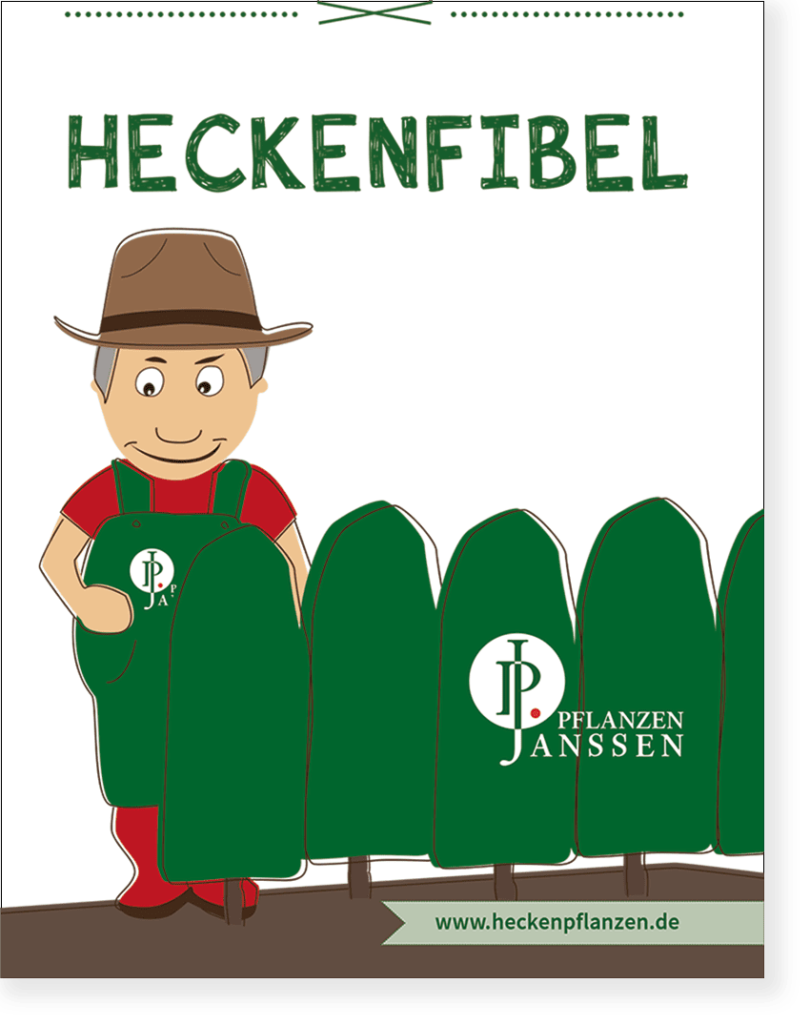 Heckenfibel Mock Up